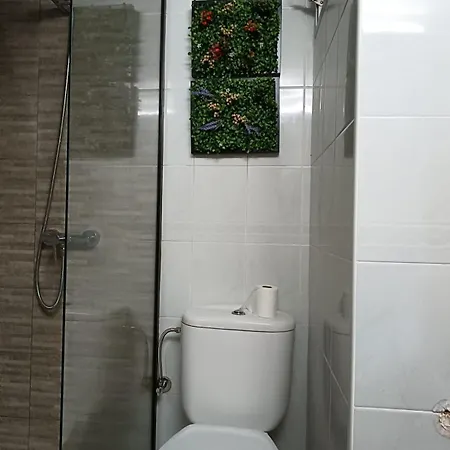 El Caracol Azul Del Plano *