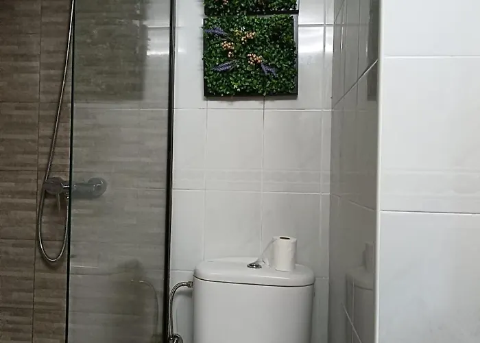 El Caracol Azul Del Plano *