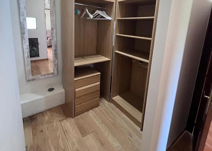 El Caracol Azul Del Plano